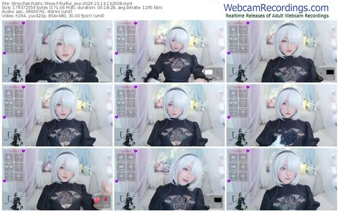 stripchat-ruirui_ovo-10-13-2024-13-25-08