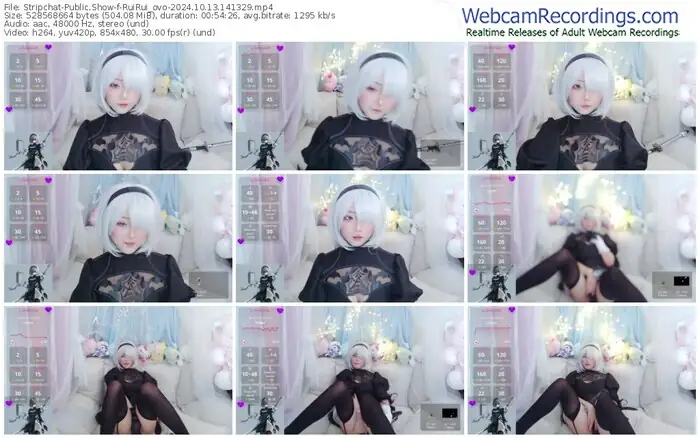 stripchat-ruirui_ovo-10-13-2024-14-13-29