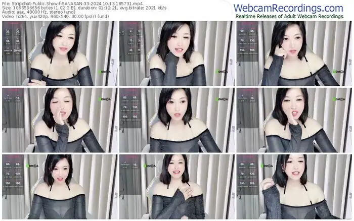 stripchat-sanasan-33-10-13-2024-18-57-31