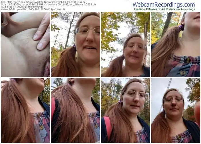 stripchat-wickedaphrodite-10-13-2024-20-31-53