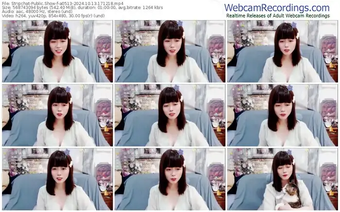 stripchat-a0513-10-13-2024-17-12-18