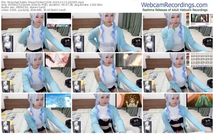 stripchat-linko12334-10-13-2024-16-25-05