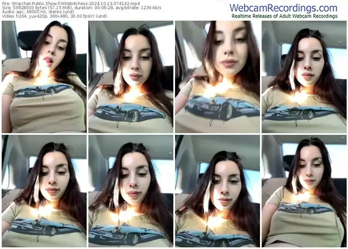 stripchat-littlebitchess-10-13-2024-07-41-42