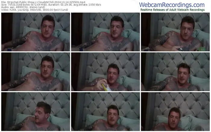stripchat-cloudsnchill-10-14-2024-02-55-09