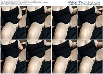 stripchat-silver1977-10-14-2024-02-33-10