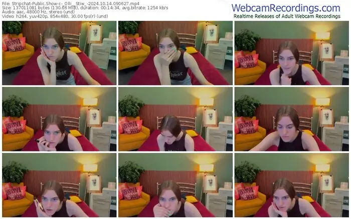 stripchat-_olli__stiw_-10-14-2024-09-06-27