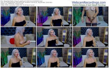 stripchat-ladytouch-10-14-2024-00-34-04