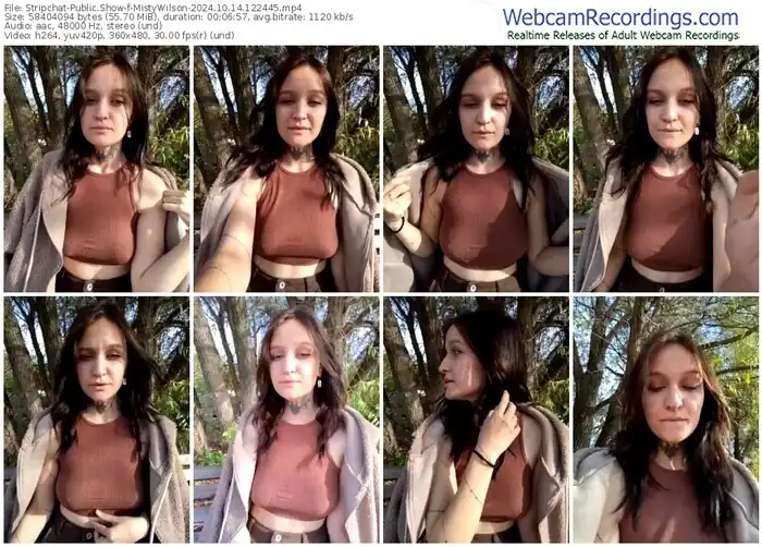 stripchat-mistywilson-10-14-2024-12-24-45