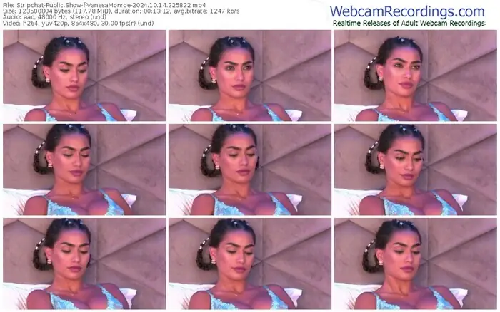stripchat-vanesamonroe-10-14-2024-22-58-22