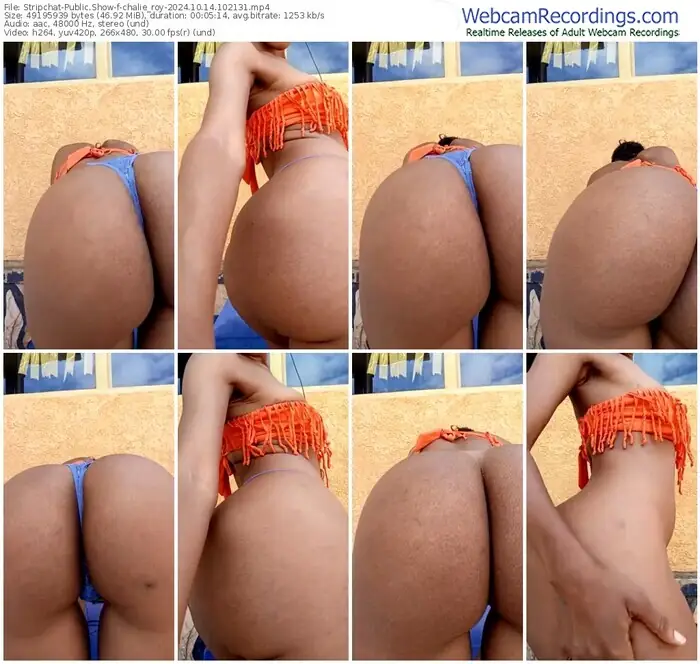 stripchat-chalie_roy-10-14-2024-10-21-31