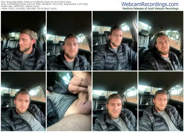 stripchat-1h3b0s5-10-14-2024-11-43-12