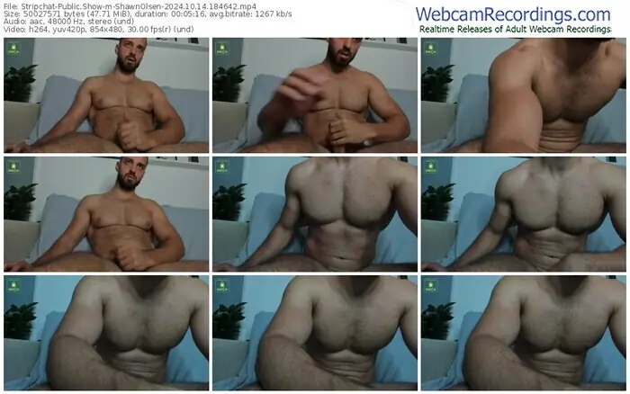 stripchat-shawnolsen-10-14-2024-18-46-42