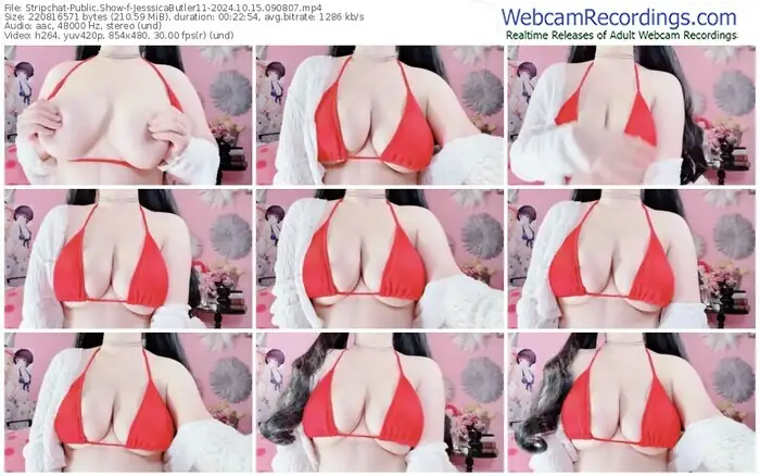 stripchat-jesssicabutler11-10-15-2024-09-08-07