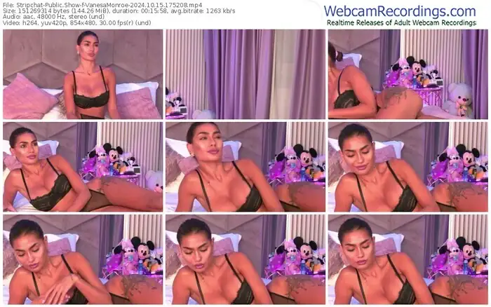 stripchat-vanesamonroe-10-15-2024-17-52-08