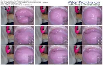 stripchat-danigirl866-10-15-2024-22-55-13