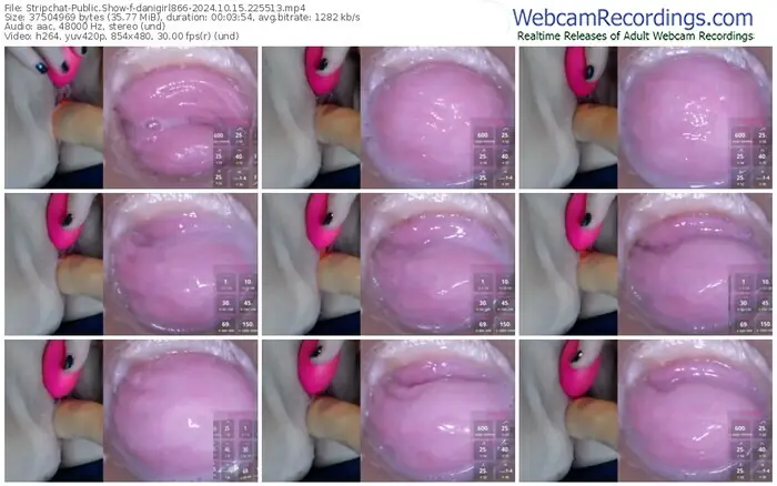 stripchat-danigirl866-10-15-2024-22-55-13