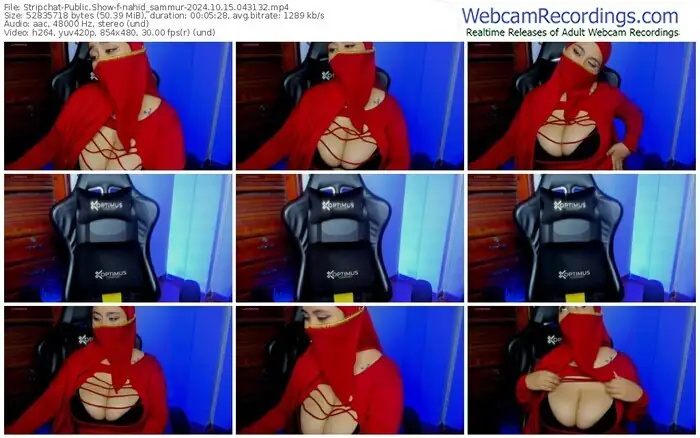 stripchat-nahid_sammur-10-15-2024-04-31-32