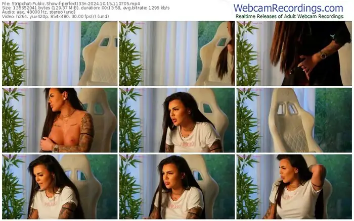 stripchat-perfectt33n-10-15-2024-11-07-05