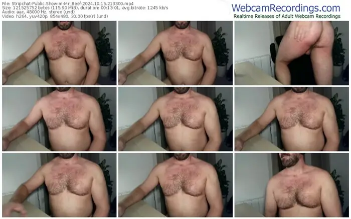 stripchat-mr_beef-10-15-2024-21-33-00