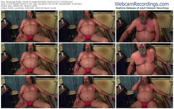 stripchat-herbie010666-10-15-2024-11-41-58