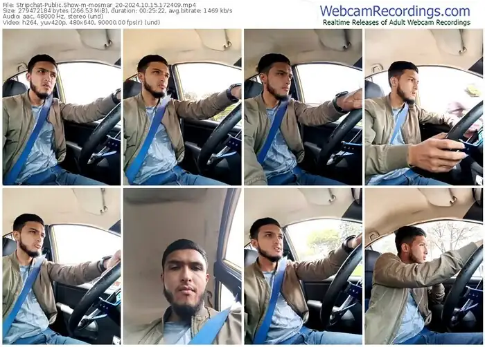 stripchat-mosmar_20-10-15-2024-17-24-09