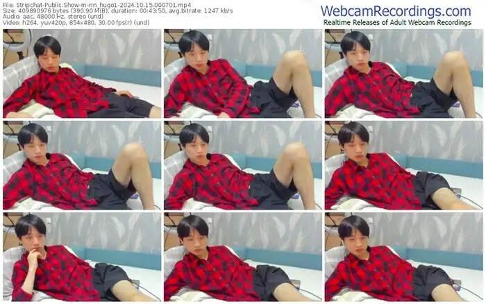 stripchat-rin_hugo1-10-15-2024-00-07-01