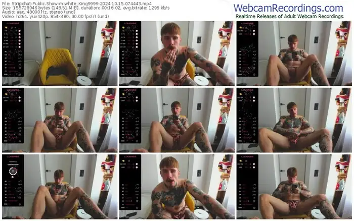 stripchat-white_king9999-10-15-2024-07-44-43