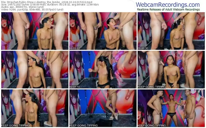 stripchat-destroy_the_bimbo_-10-16-2024-01-53-22