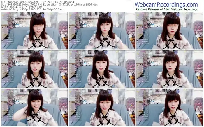 stripchat-a0513-10-16-2024-19-03-15