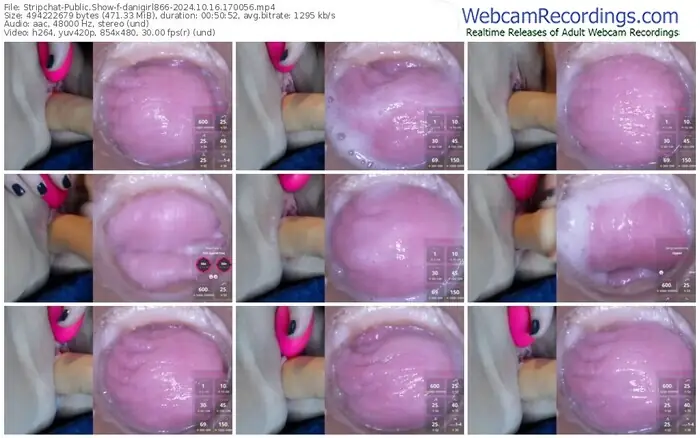 stripchat-danigirl866-10-16-2024-17-00-56