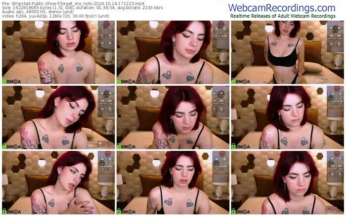 stripchat-forget_me_nots-10-16-2024-17-12-23