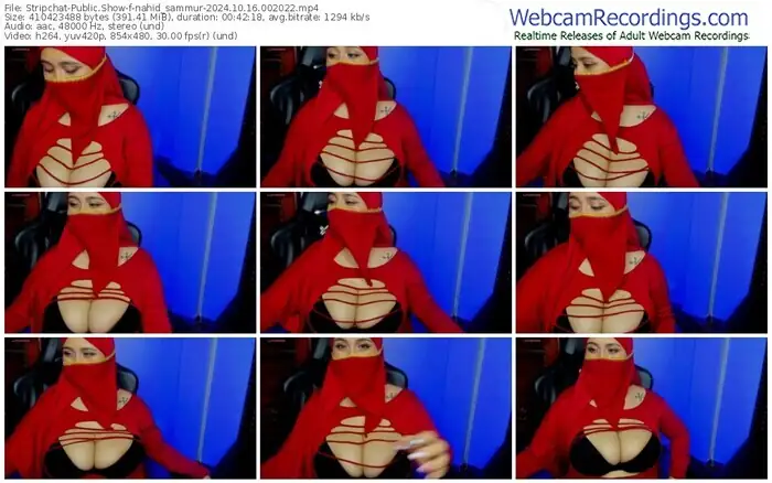 stripchat-nahid_sammur-10-16-2024-00-20-22