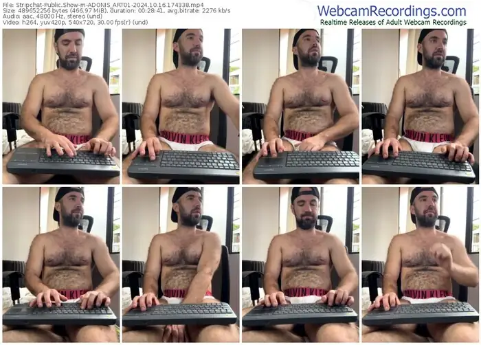 stripchat-adonis_art01-10-16-2024-17-43-38