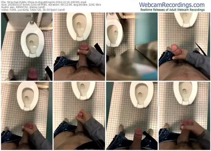 stripchat-egyptking24-10-16-2024-20-03-01