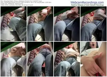 stripchat-estefani_r-10-17-2024-20-33-57