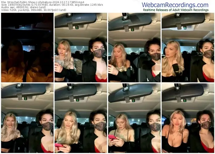 stripchat-shybabyss-10-17-2024-17-38-50