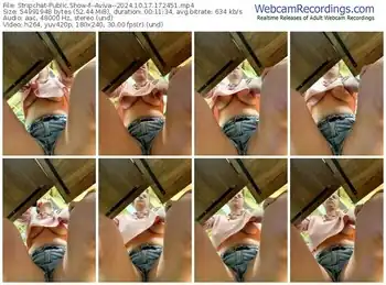 stripchat--aviva--10-17-2024-17-24-51