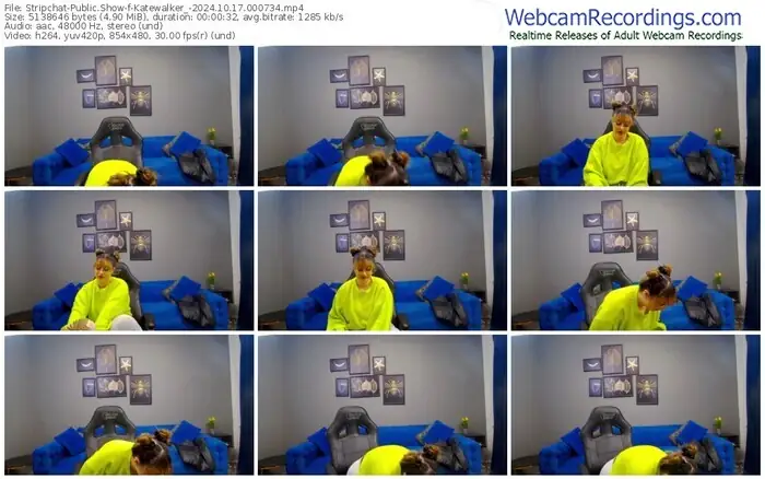 stripchat-katewalker_-10-17-2024-00-07-34