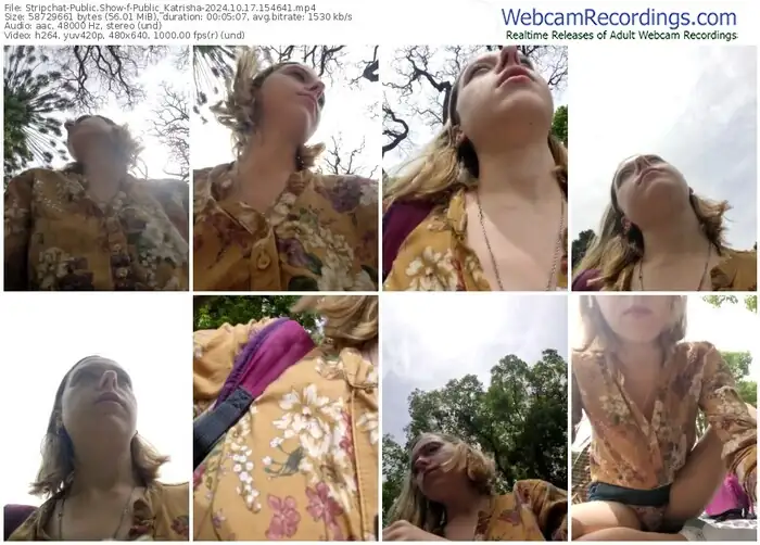 stripchat-public_katrisha-10-17-2024-15-46-41