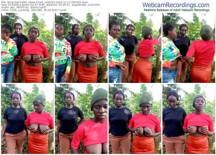 stripchat-swit_virgin22-10-17-2024-06-04-52