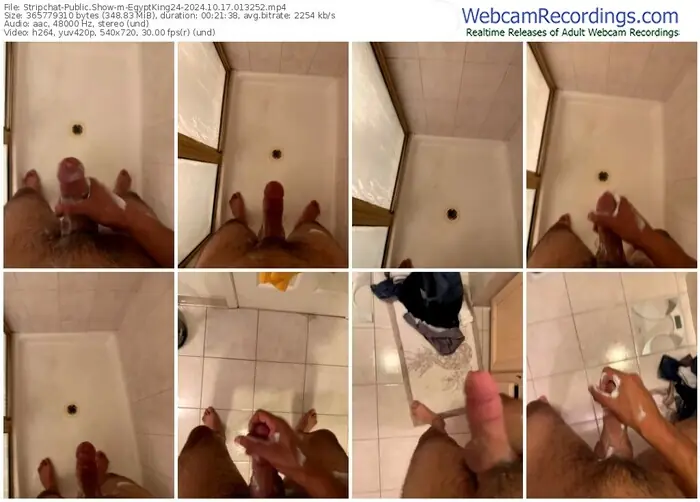 stripchat-egyptking24-10-17-2024-01-32-52