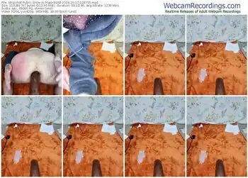 stripchat-maxjr8008-10-17-2024-02-47-55