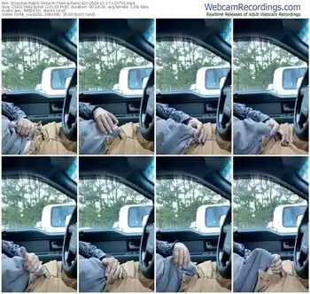 stripchat-themechanic420-10-17-2024-12-37-53