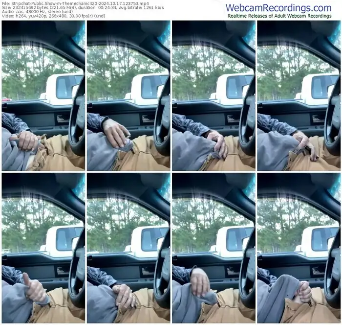 stripchat-themechanic420-10-17-2024-12-37-53