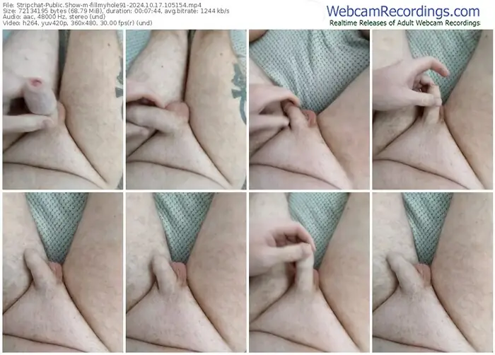 stripchat-fillmyhole91-10-17-2024-10-51-54