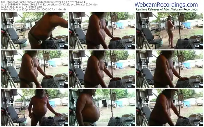 stripchat-herbie010666-10-17-2024-07-07-14