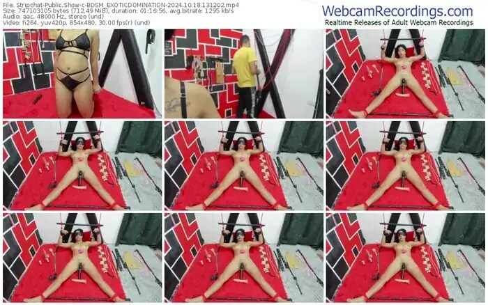 stripchat-bdsm_exoticdomination-10-18-2024-13-12-02