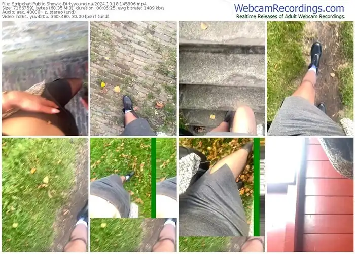 stripchat-dirtyyoungina-10-18-2024-14-58-06