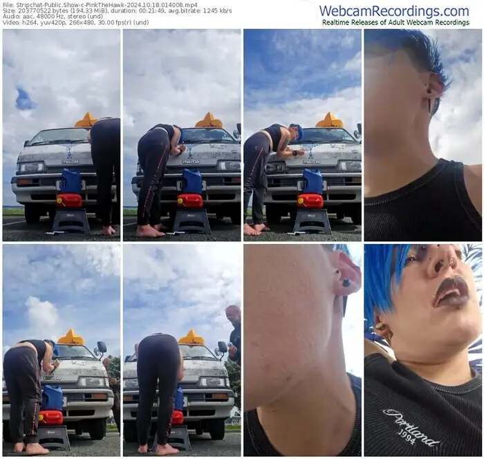 stripchat-pinkthehawk-10-18-2024-01-40-08