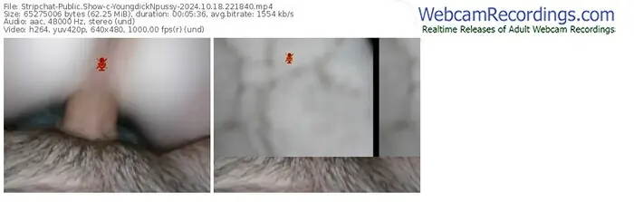 stripchat-youngdicknpussy-10-18-2024-22-18-40